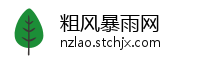 粗风暴雨网